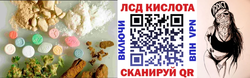 KRAKEN маркетплейс  Шенкурск  Лсд 25 экстази ecstasy 