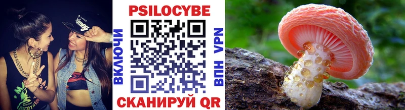 Галлюциногенные грибы мицелий купить наркоту Шенкурск