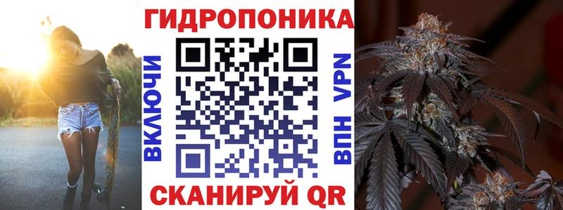 где найти наркотики  Шенкурск  Шишки марихуана сатива 